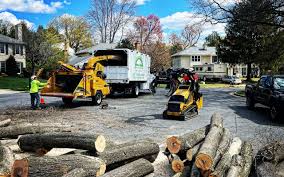 Best Tree Preservation Services  in Laurence Harbor, NJ