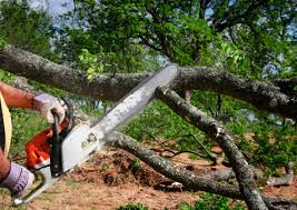 Best Lawn Drainage Solutions  in Laurence Harbor, NJ