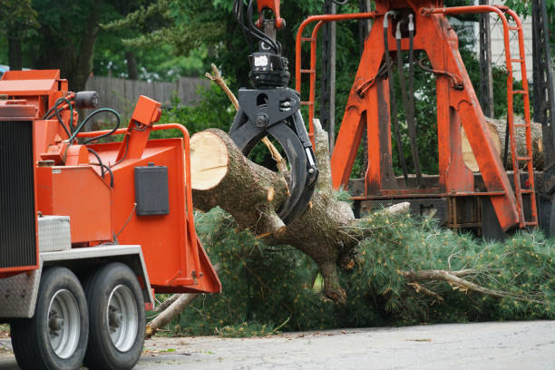 Best Lawn Watering Services  in Laurence Harbor, NJ